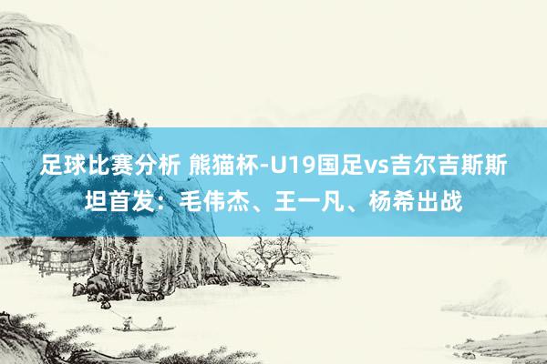 足球比赛分析 熊猫杯-U19国足vs吉尔吉斯斯坦首发：毛伟杰、王一凡、杨希出战