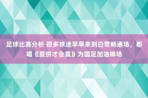 足球比赛分析 很多球迷早早来到白鹭畅通场，都唱《爱拼才会赢》为国足加油捧场