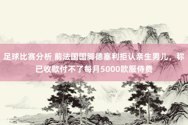 足球比赛分析 前法国国脚德塞利拒认亲生男儿，称已收歇付不了每月5000欧服侍费