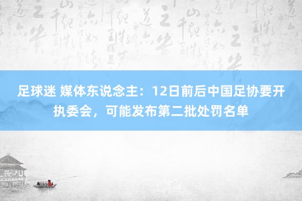 足球迷 媒体东说念主：12日前后中国足协要开执委会，可能发布第二批处罚名单