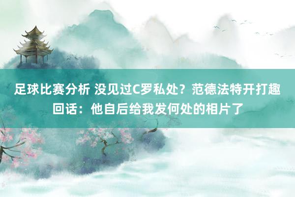 足球比赛分析 没见过C罗私处？范德法特开打趣回话：他自后给我发何处的相片了