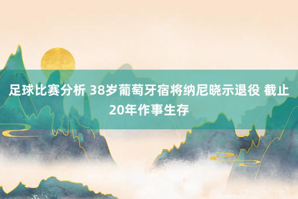 足球比赛分析 38岁葡萄牙宿将纳尼晓示退役 截止20年作事生存