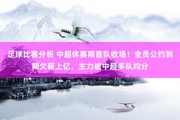 足球比赛分析 中超休赛期首队收场！全员公约到期欠薪上亿，主力被中超多队均分